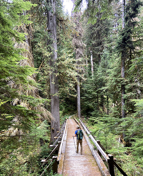 Trail for hiker part 3